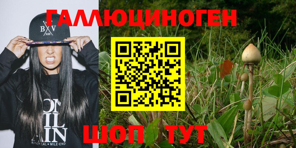 Галлюциногенные грибы MAGIC MUSHROOMS Канск
